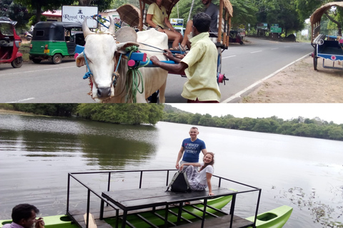 Prywatna jednodniowa wycieczka z Kandy do Sigiriya i Dambulla