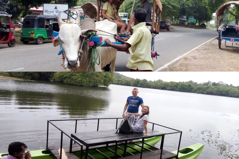 Prywatna jednodniowa wycieczka z Kandy do Sigiriya i Dambulla