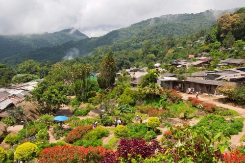 Chiang Mai : Visite d'une demi-journée du Doi Suthep et du village Hmong