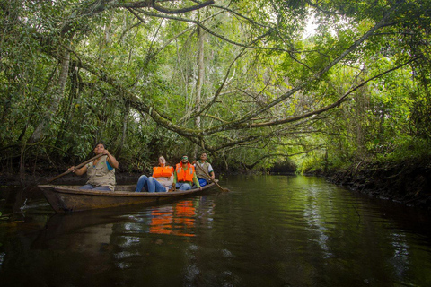 Tarapoto's Hidden Abyss - Exploring the Palestine Cave