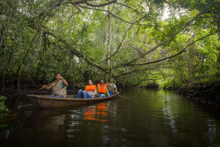 Tarapoto's Hidden Abyss - Exploring the Palestine Cave