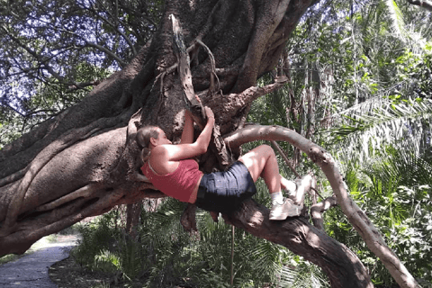 Victoria Falls: Guided Tour, Bridge, & Big Tree Visit