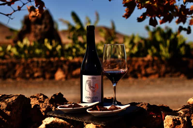 Fuerteventura: Wine Tasting and El Cotillo Afternoon Escape