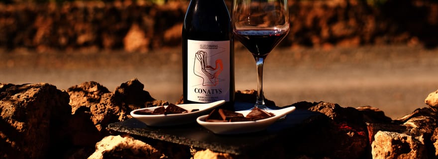 Fuerteventura : dégustation de vin et escapade à El Cotillo