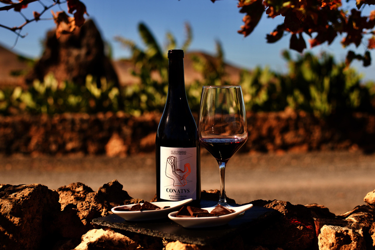 Fuerteventura: Wine Tasting and El Cotillo Afternoon Escape