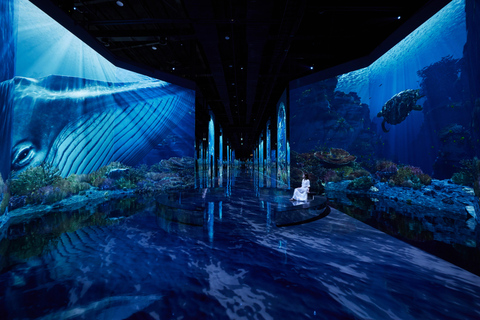 Paju: Museum HEI Immersive Media Art Exhibition Entry Ticket