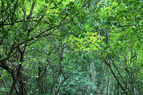 Zanzibar: Jozani Forest, Salaam & Maalum Caves and Sunset