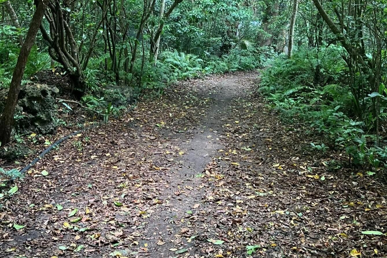 Zanzibar: Jozani Forest, Salaam & Maalum Caves and Sunset