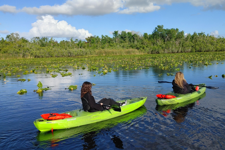 Orlando: Sunset guided kayaking tour