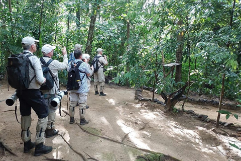 Colombo: Kithulgala Rainforest Birdwatching Tour & Lunch Colombo: Kithulgala Birdwatching Group Tour & Lunch