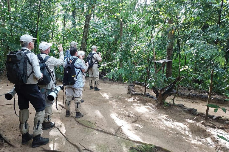 Colombo: Kithulgala Rainforest Birdwatching Tour & Lunch Colombo: Kithulgala Birdwatching Group Tour & Lunch
