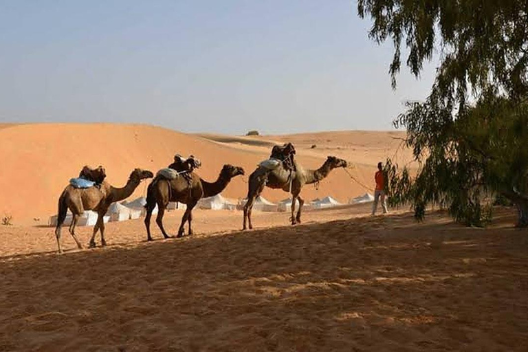From Dakar: Overnight in the Lompoul Desert, Dromedary, and 4x4 From Dakar: Overnight in the Lompoul Desert, Camel Ride, and 4WD