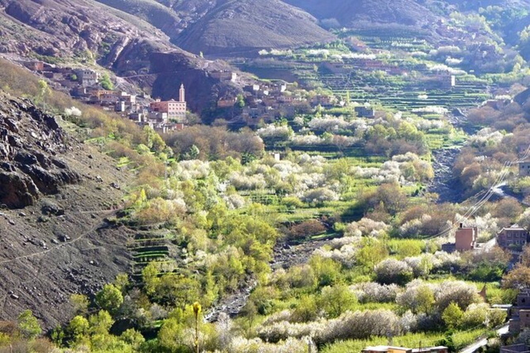 Marrakech: Excursão às montanhas, vales e cachoeiras do Alto AtlasMarrakech: Excursão às montanhas do Alto Atlas, vales e cachoeiras