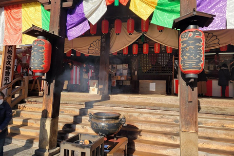 Osaka/Kyoto: Amanohashidate & Ine Funaya & Ine Bay Day Tour Excludes Cable Car & Cruise: 8:00AM Osaka