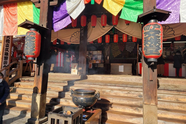 Osaka/Kyoto: Amanohashidate & Ine Funaya & Ine Bay Day Tour Excludes Cable Car & Cruise: 8:00AM Osaka