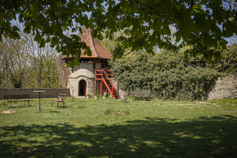 Beichlingen Palace: Exclusive tour with escape room-style puzzles