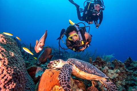 Excursión de buceo con traslado desde Alanya y la ciudad de Side