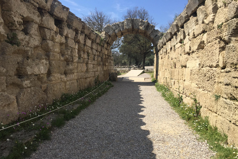 Antica Olimpia: Tour privato del sito, del museo, della fattoria delle api e dell&#039;azienda vinicola