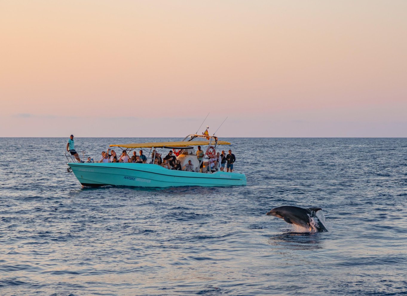 Fra Alcudia: Sejltur ved solopgang med delfinobservation