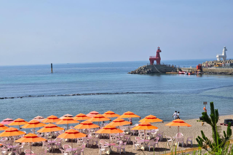 Jeju: UNESCO WestSouth & East Highlights 2 Days Combo Tour
