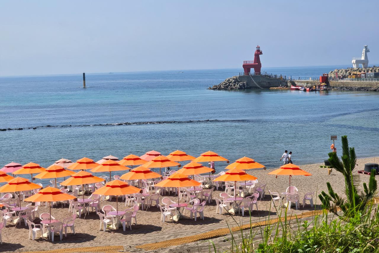 Jeju: UNESCO WestSouth & East Highlights 2 Days Combo Tour