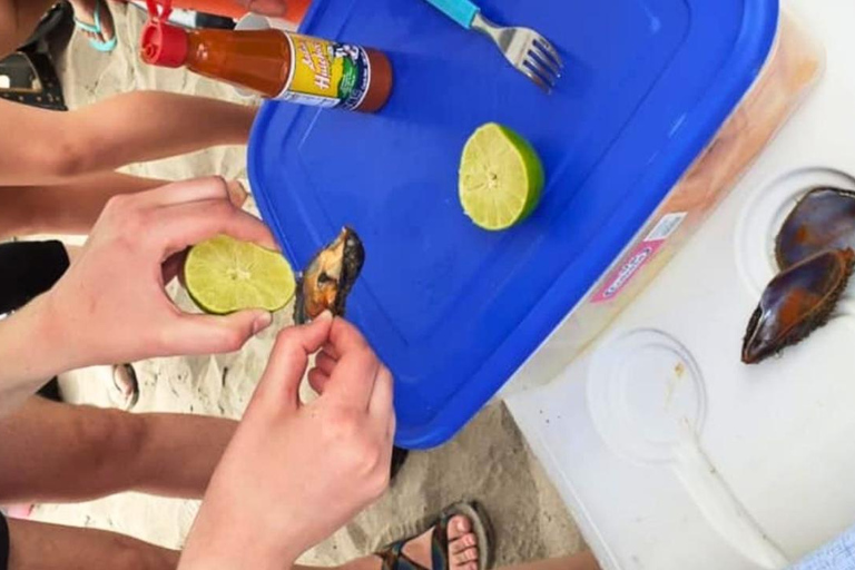 La Paz: Mangrove Adventure, Snorkeling and Shellfish Tasting