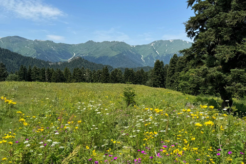 Kutaisi: From the Wild Caucasus Mountains to the Black Sea