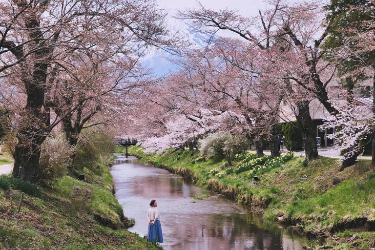 Desde Tokio: Tour en inglés de un día entero por el Monte Fuji digno de Instagram