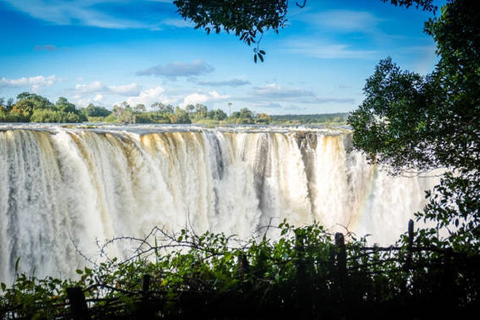 Sunrise Tour of Victoria Falls via Big Tree & Falls Bridge