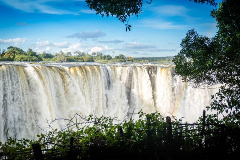 Sunrise Tour of Victoria Falls via Big Tree & Falls Bridge