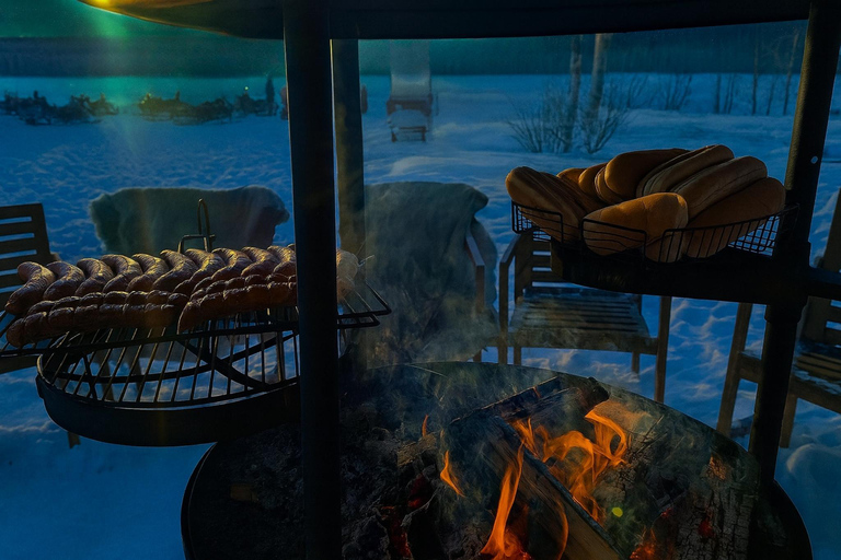 Rovaniemi: Drive New 2025 Snowmobiles - Aurora Adventure