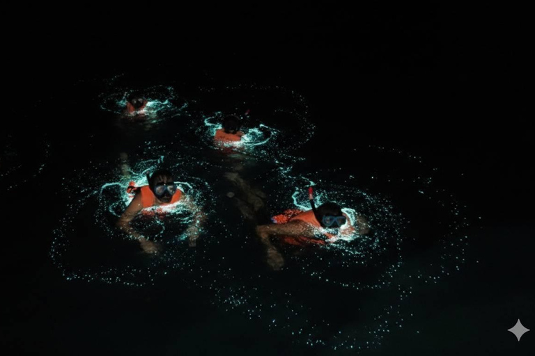 Krabi: Bioluminescent Plankton Night Swim