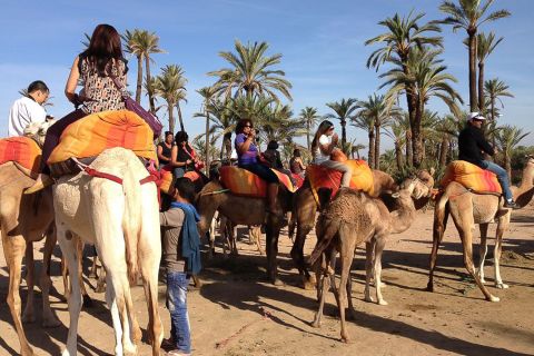 Marrakech : balade à chameau avec pause thé