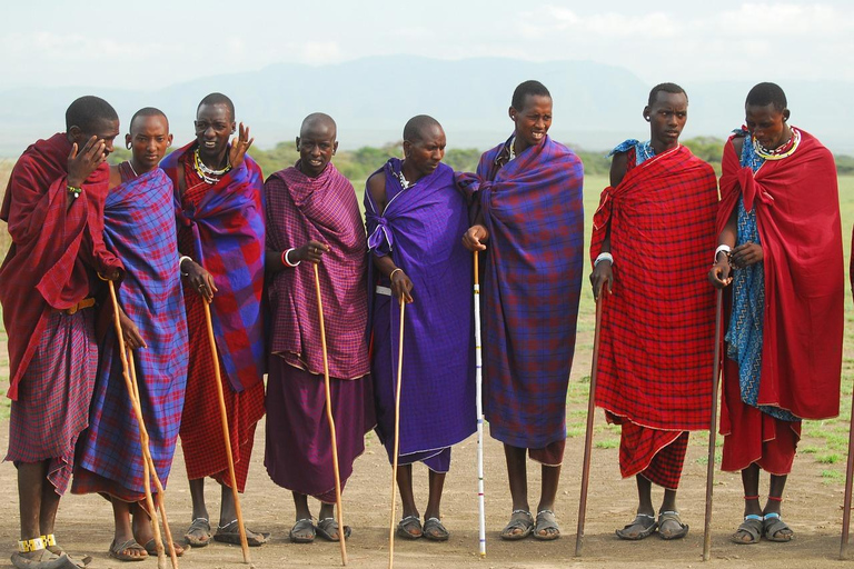 Safaris de 3 DÍAS con elefantes en Tarangire y el cráter del NgorongoroSafaris de 3 días con elefantes en Tarangire y el cráter del Ngorongoro