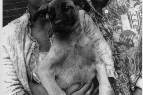 Toegangsbewijs Mandela HousePrijs voor inwoners van de Afrikaanse Unie