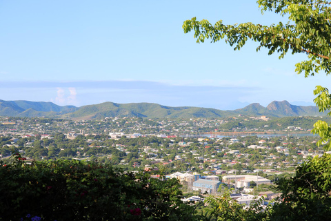 St. John's: Lekcja gotowania rumu z 6 degustacjami rumu
