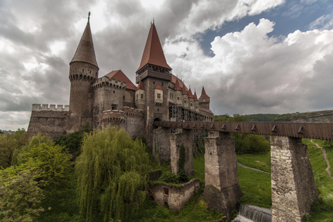 Brasov: Corvin Castle & Hateg Bison Reserve Day Trip