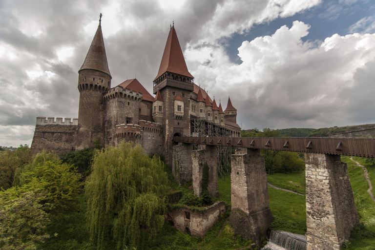 Brasov: Corvin Castle & Hateg Bison Reserve Day Trip
