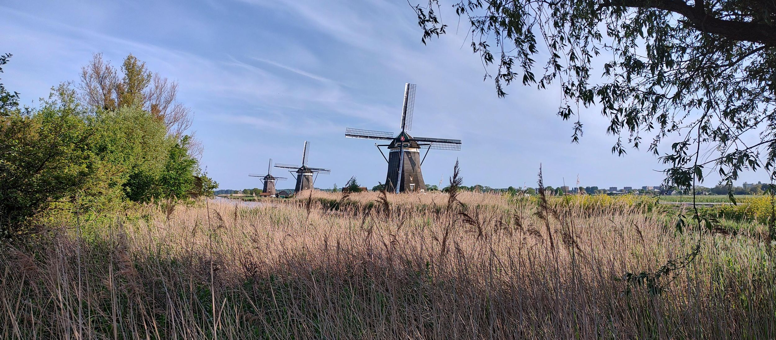 Amsterdam & Countryside Private Tour im Premiumwagen