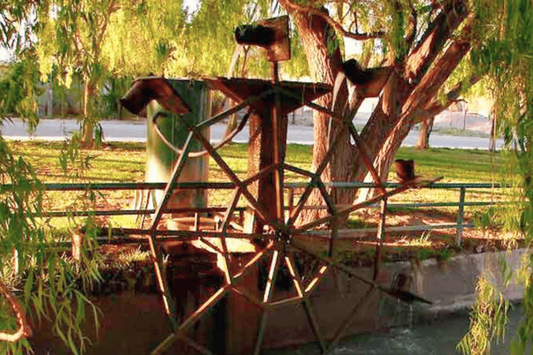 Valley + Paleontological Museum for cruise passengers