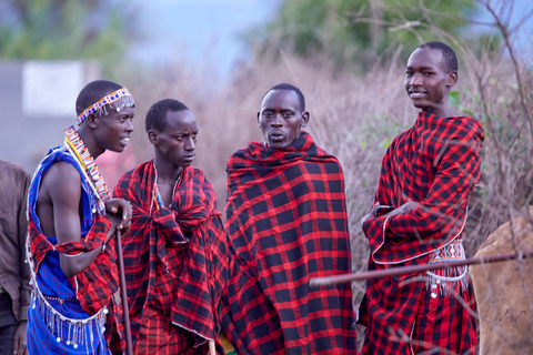 Afrovanna Living Experience with Lunch & Transport