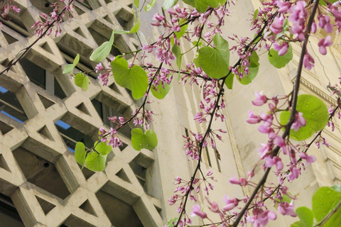 Jewish History Tour of Le Marais