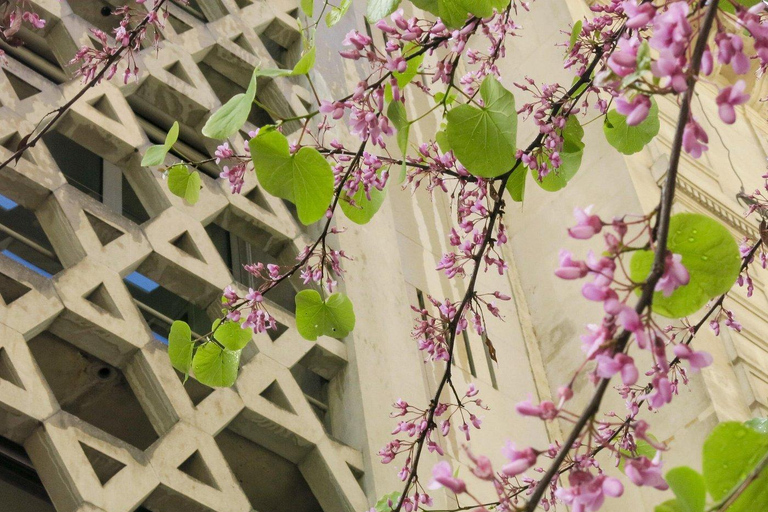 Jewish History Tour of Le Marais
