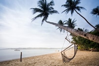 Nadi, Half-Day Island Activities Tour with Jungle Cruise - Housity