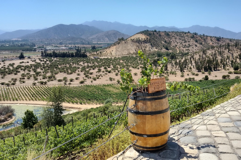 Wineries Tour in Casablanca Valley from Valparaiso Shared tour