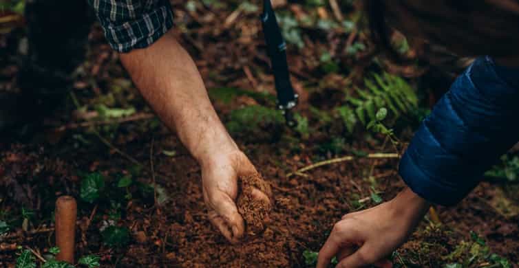 Truffle hunt near La Morra