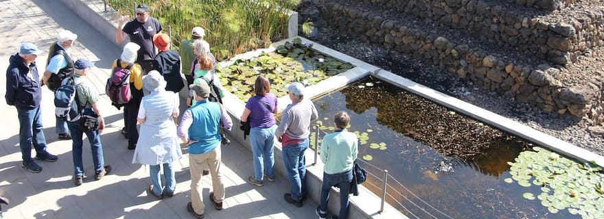 Tenerife : Visite guidée aux Pirámides de Güímar