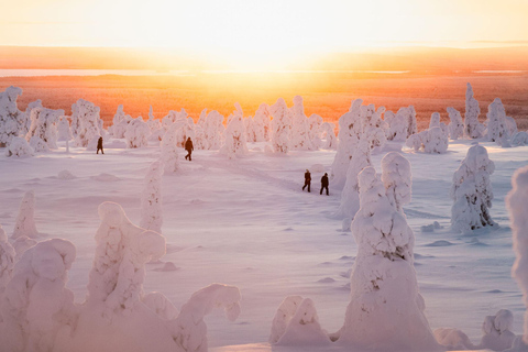 Rovaniemi: Riisitunturi Snow Monsters Tour & Campfire BBQ