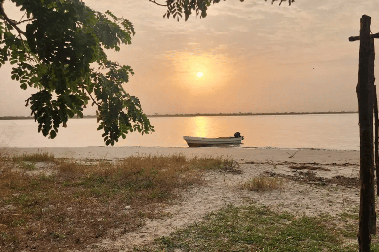 Sine Saloum: 2-Day Delta Boat Tour with Camping Sine Saloum: Delta discovery by boat with bivouac