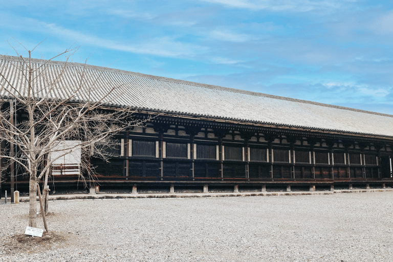 1 dia de Kyoto a Nara: penetre na cultura antiga japonesa